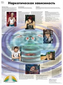 Плакат "Наркотическая зависимость" ламинированный - fgospostavki.ru - Королёв