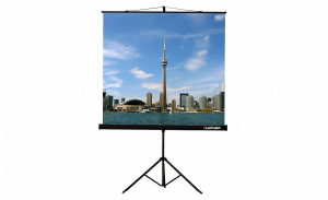 Проекционный экран на штативе Lumien Eco View (LEV-100105) 160x160 см - fgospostavki.ru - Королёв