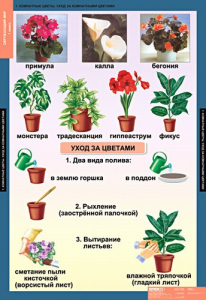 Комплект таблиц. Окружающий мир 1 класс. - fgospostavki.ru - Королёв