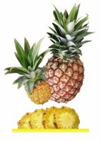 Комплект карточек "Запоминай, играй, считай" - Фрукты - fgospostavki.ru - Королёв