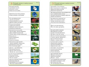 Комплект карточек (10) "Обучающий калейдоскоп. Природа" - fgospostavki.ru - Королёв