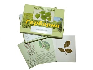 Гербарий "Дикорастущие растения" (30 видов, с иллюстрациями) - fgospostavki.ru - Королёв