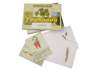 Гербарий "Культурные растения" (30 видов, с иллюстрациями) - fgospostavki.ru - Королёв