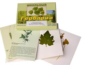 Гербарий "Систематика растений. Высшие споровые и семенные" (раздаточный) - fgospostavki.ru - Королёв