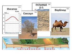 Модель-аппликация "Природные зоны" - fgospostavki.ru - Королёв