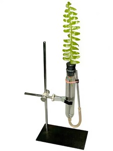 Прибор для демонстрации всасывания воды корнями - fgospostavki.ru - Королёв