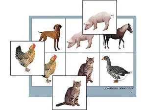 Логопедическое лото "Домашние животные" (4 планшета, 24 карточки, цветное, ламинированное) - fgospostavki.ru - Королёв