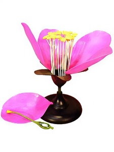 Модель цветка яблони - fgospostavki.ru - Королёв