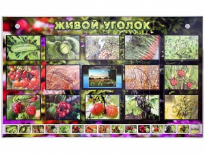 Комплект оборудования "Живой уголок" (растения) с тифлопереводом и сурдокомментариями - fgospostavki.ru - Королёв