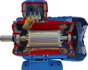 Учебная модель «Электродвигатель асинхронный в разрезе» - fgospostavki.ru - Королёв