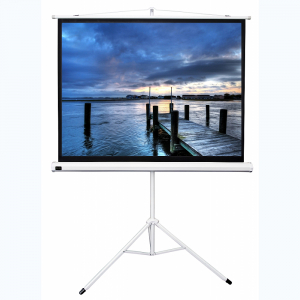 Экран на штативе DSKD-4302 - fgospostavki.ru - Королёв