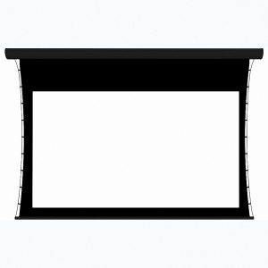 Экран настенный с электроприводом DSTPX-16915 - fgospostavki.ru - Королёв