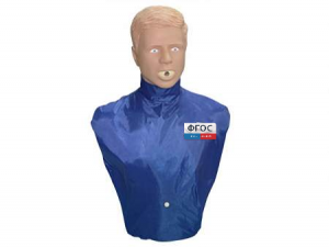 Тренажер-манекен взрослого пострадавшего "Искандер" для отработки приемов удаления инородного тела из верхних дыхательных путей - fgospostavki.ru - Королёв