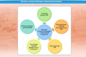Интерактивные курсы. Обществознание 10 класс. Базовый - fgospostavki.ru - Королёв
