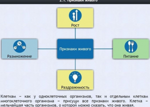 Интерактивные курсы. Биология 5 класс. Базовый - fgospostavki.ru - Королёв