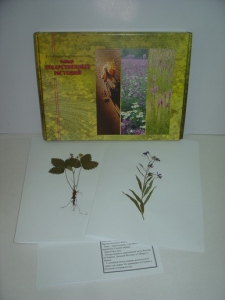 Гербарий "Лекарственные растения" (20 видов) - fgospostavki.ru - Королёв