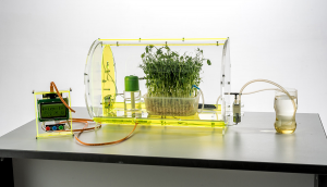 Чудо-грядка (базовая комплектация) - fgospostavki.ru - Королёв