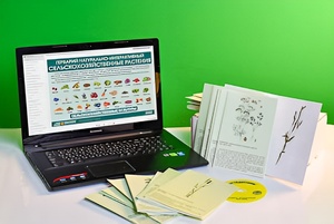 Гербарий натурально-интерактивный "Сельскохозяйственные растения" - fgospostavki.ru - Королёв