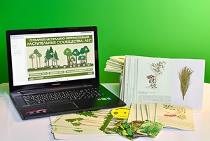 Гербарий натурально-интерактивный "Растительные сообщества. Лес" - fgospostavki.ru - Королёв