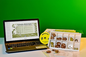 Коллекция натурально-интерактивная "Палеонтологическая" - fgospostavki.ru - Королёв