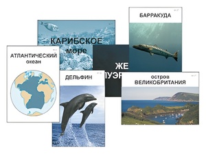 Модель-аппликация "Океаны. Знакомство" (ламинированная) - fgospostavki.ru - Королёв