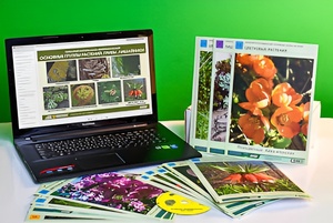 Гербарий натурально-интерактивный "Основные группы растений. Грибы. Лишайники" - fgospostavki.ru - Королёв