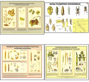Плакаты ПРОФТЕХ "Вредители и болезни с/х культур и меры борьбы с ними" (11 пл, винил, 70х100) - fgospostavki.ru - Королёв