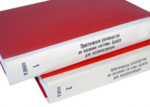Практическое руководство по освоению системы Брайля для поздноослепших в 2-х книгах - fgospostavki.ru - Королёв
