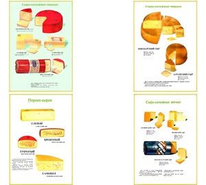 Плакаты ПРОФТЕХ "Ассортимент сыров" (9 пл, винил, 70х100) - fgospostavki.ru - Королёв