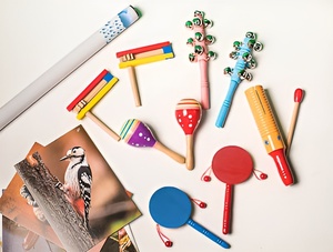 Комплект шумовых музыкальных инструментов - fgospostavki.ru - Королёв