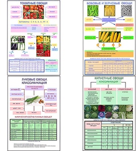 Плакаты ПРОФТЕХ "Классификация овощей" (11 пл, винил, 70х100) - fgospostavki.ru - Королёв