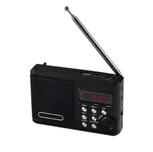 Радиоприемник цифровой с крупными кнопками - fgospostavki.ru - Королёв