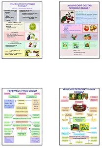 Плакаты ПРОФТЕХ "Классификация овощей и переработка" (8 пл, винил, 70х100) - fgospostavki.ru - Королёв
