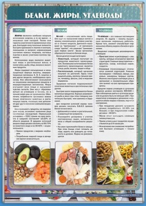 Стенд "Белки. Жиры. Углеводы" - fgospostavki.ru - Королёв