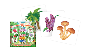Набор карточек "Ботанический сад" - fgospostavki.ru - Королёв