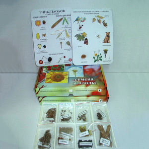 Коллекция "Семена и плоды с раздаточным материалом" - fgospostavki.ru - Королёв