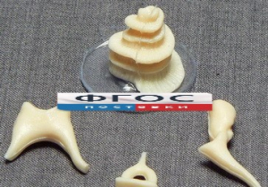 Модель "Косточки слуховые" - fgospostavki.ru - Королёв