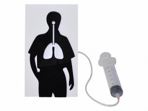 Демонстрационная модель "Эффект курения" - fgospostavki.ru - Королёв