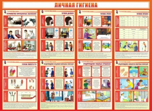 Стенд "Личная гигиена" - fgospostavki.ru - Королёв