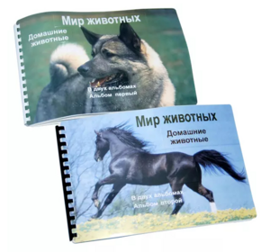 Пособие для слабовидящих - Домашние животные - fgospostavki.ru - Королёв