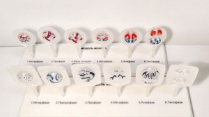 Модель "Митоз и мейоз клетки" - fgospostavki.ru - Королёв