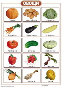 Таблицы "Окружающий мир" (формат А2, ламинированные, 10 таблиц) - fgospostavki.ru - Королёв