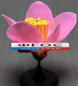 Модель "Цветок персика" - fgospostavki.ru - Королёв