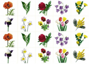 Комплект карточек "Запоминай, играй, считай" - Цветы - fgospostavki.ru - Королёв