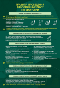 Стенд "Правила выполнения лабораторных работ по биологии" Вариант 1 - fgospostavki.ru - Королёв