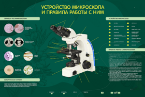 Электрифицированный стенд "Устройство микроскопа и правила работы c ним" - fgospostavki.ru - Королёв