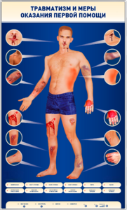 Электрифицированный стенд-тренажер "Травматизм и меры оказания первой помощи" - fgospostavki.ru - Королёв