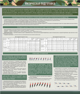 Стенд "Физическая подготовка" - fgospostavki.ru - Королёв