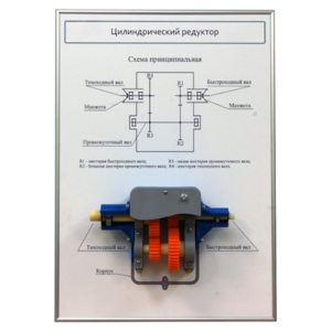 Плакат планшет с демонстрационной моделью «Цилиндрический редуктор» - fgospostavki.ru - Королёв