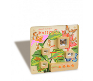 Панель «Жизненный цикл бабочки» - fgospostavki.ru - Королёв